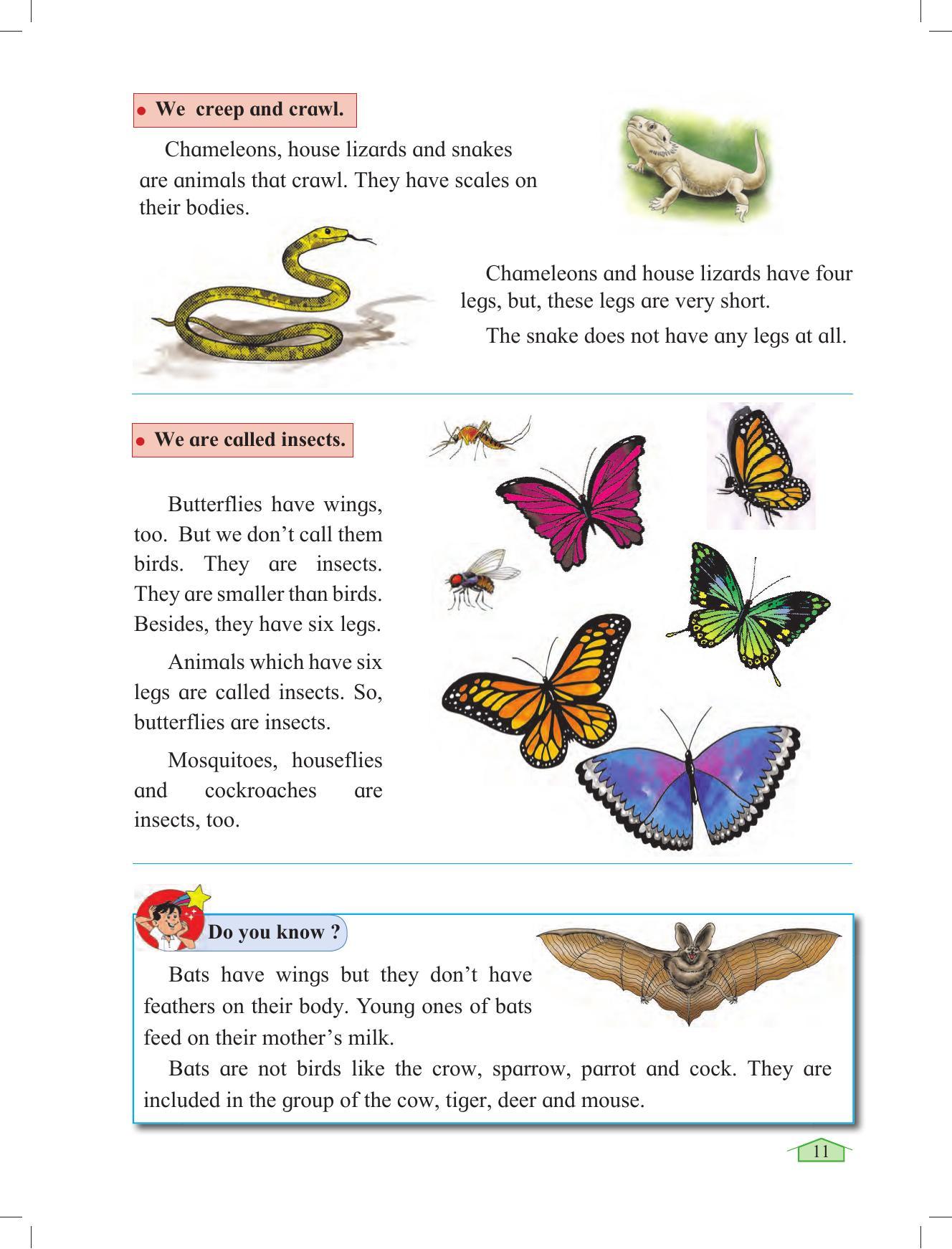 Maharashtra Board Class 3 Environmental Studies Textbook - Page 21