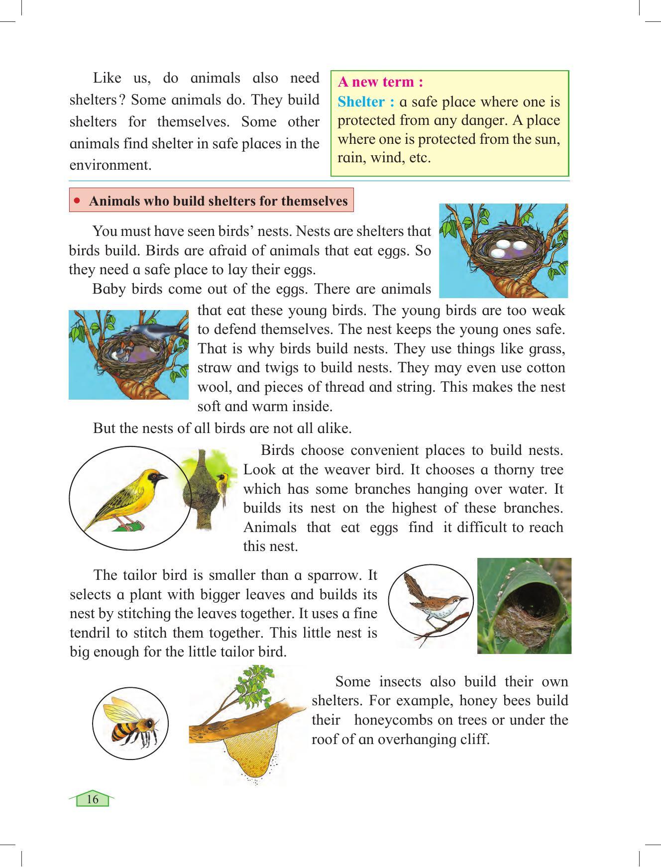 Maharashtra Board Class 3 Environmental Studies Textbook - Page 26