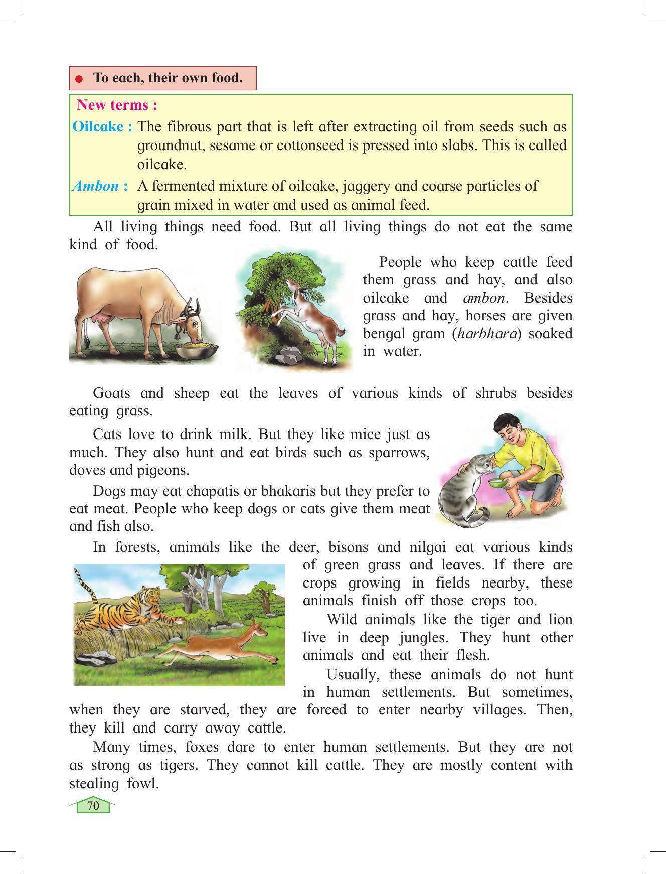 Maharashtra Board Class 3 Environmental Studies Textbook - Page 80