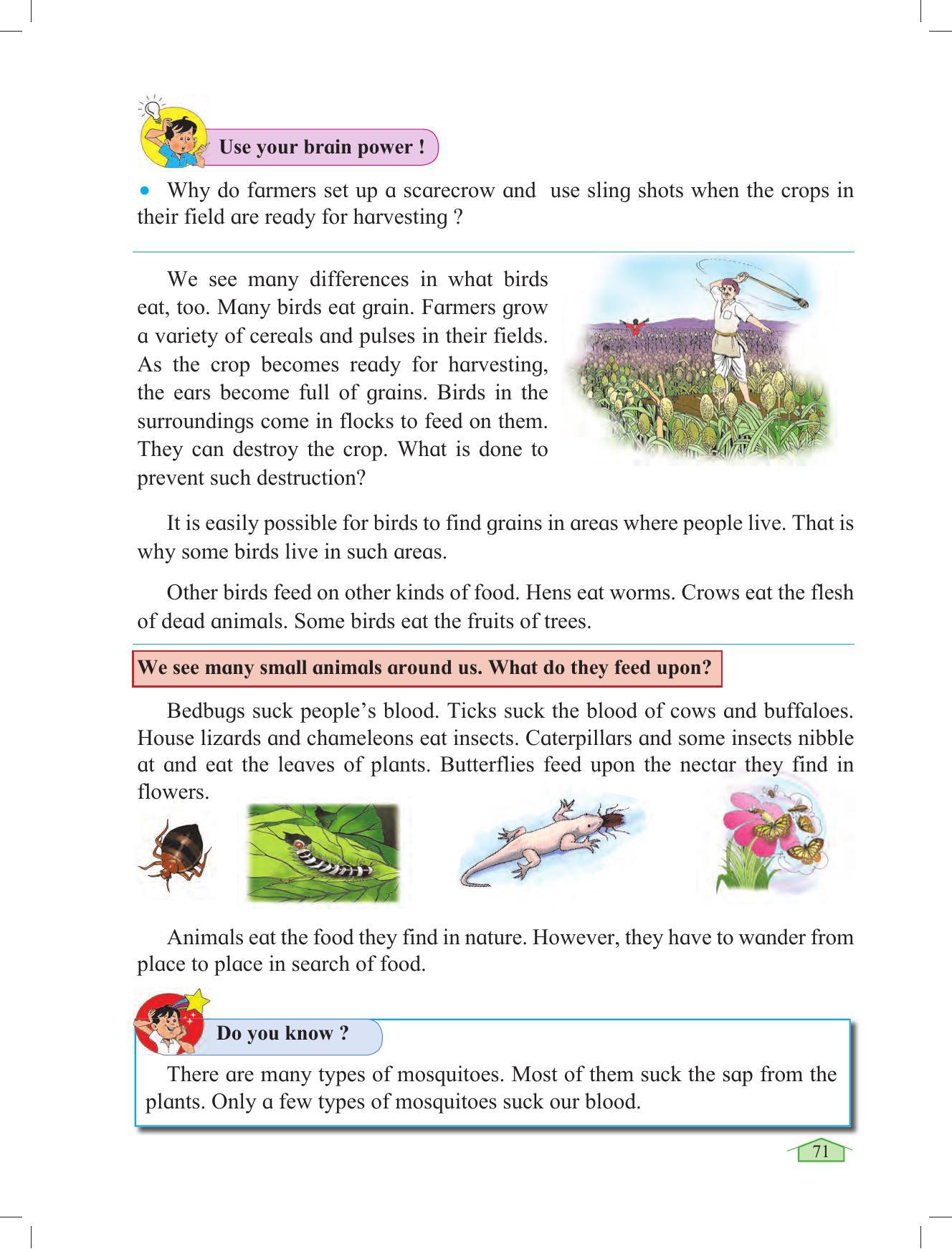 Maharashtra Board Class 3 Environmental Studies Textbook - Page 81
