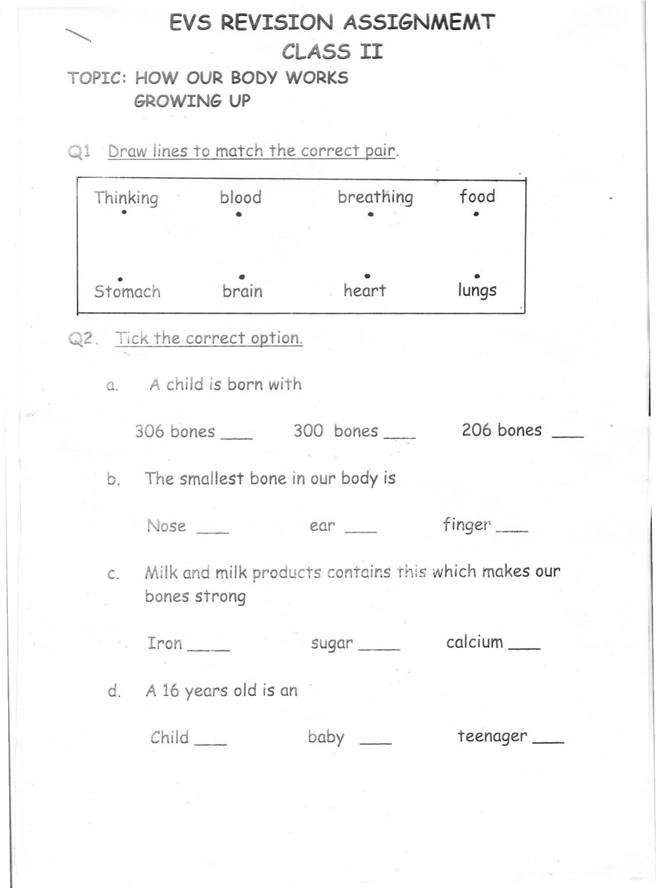 Worksheet for Class 2 English Revision Assignment 117 - Page 1