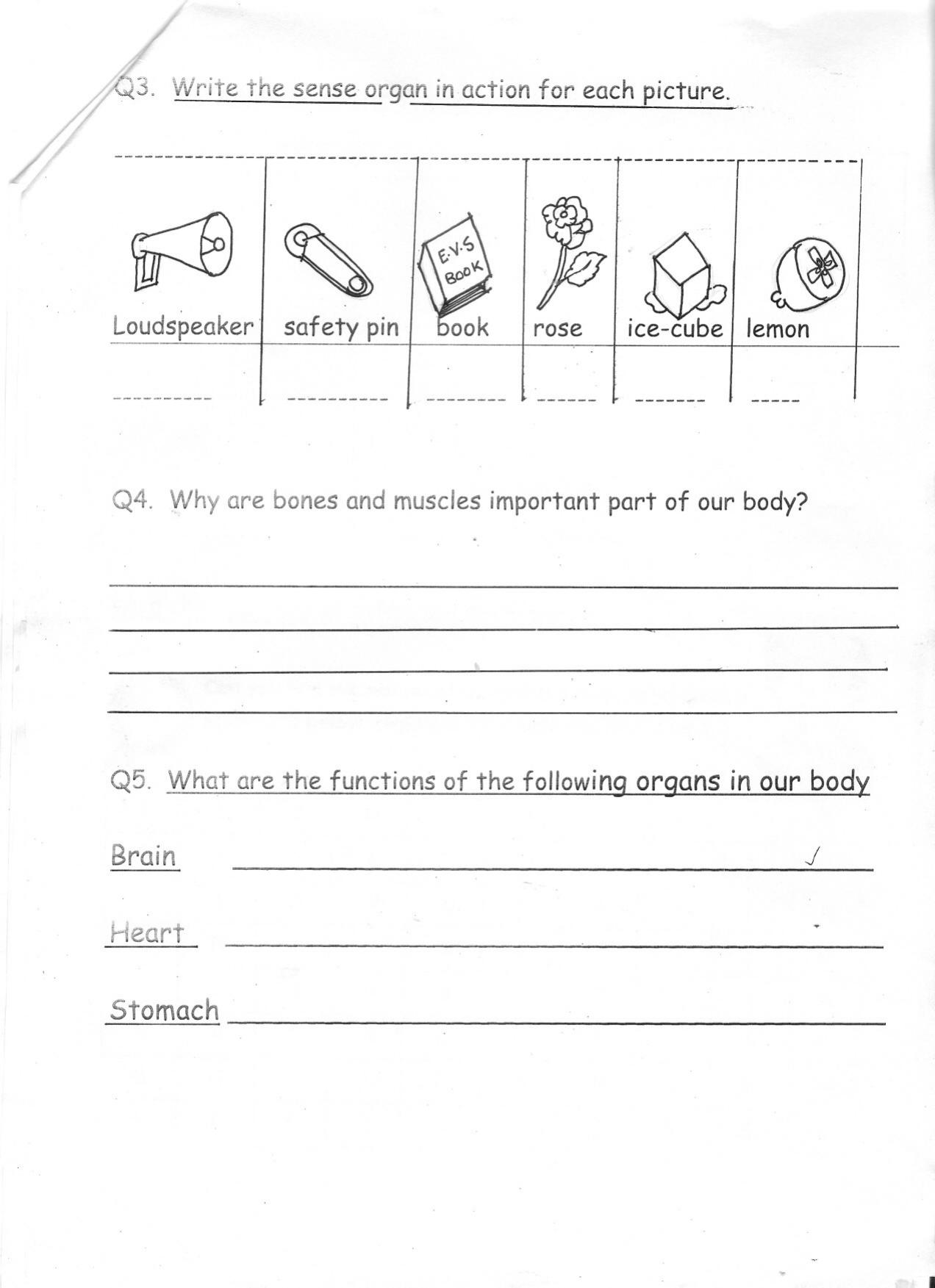 Worksheet for Class 2 English Revision Assignment 117 - Page 2