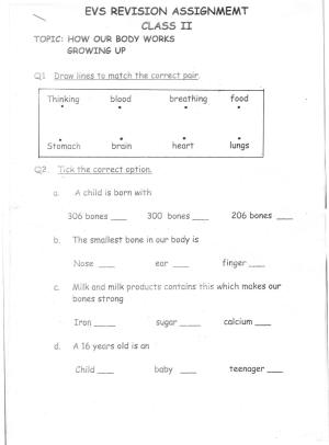 Worksheet for Class 2 English Revision Assignment 117