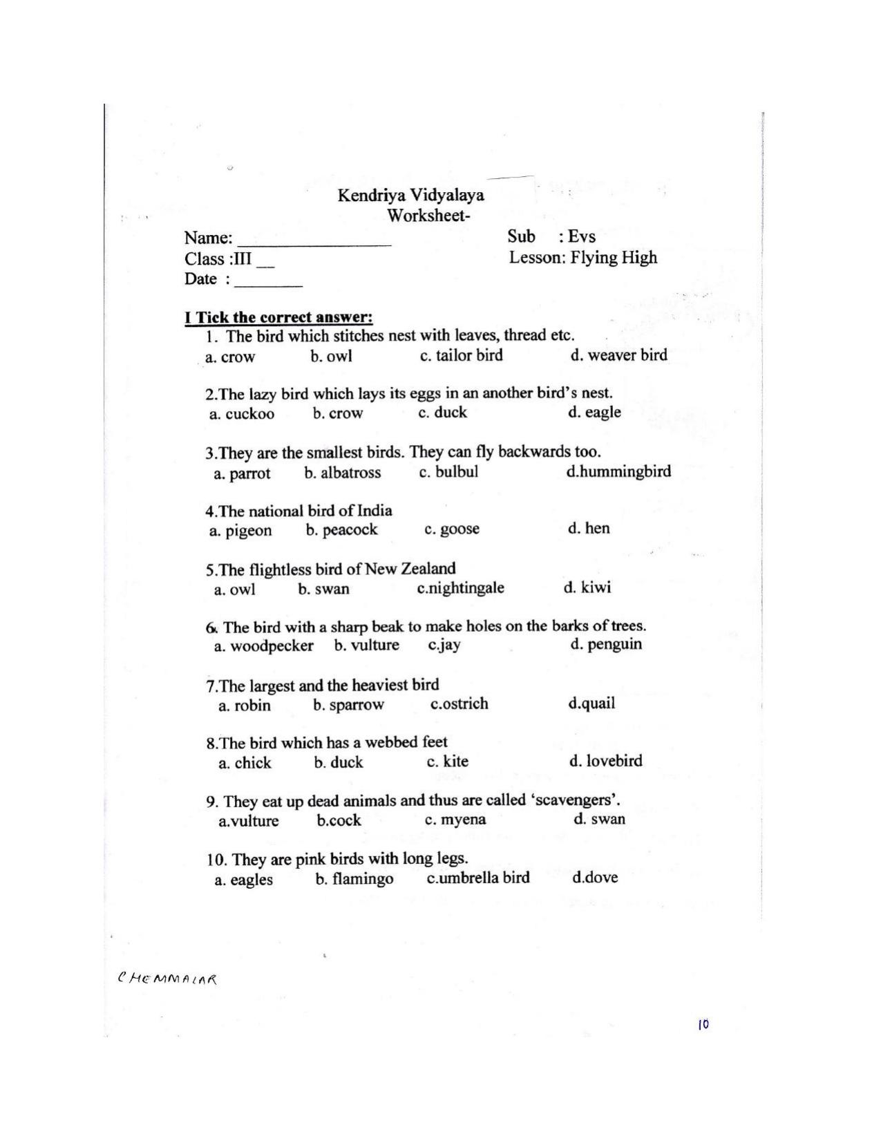 Worksheet for Class 3 EVS Assignment 22 Flying High - Page 3