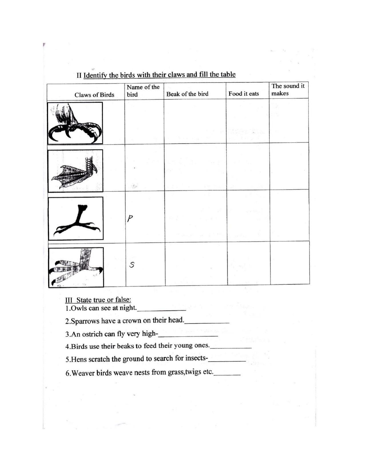 Worksheet for Class 3 EVS Assignment 22 Flying High - Page 4