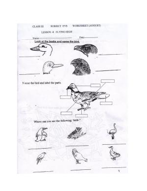 Worksheet for Class 3 EVS Assignment 22 Flying High