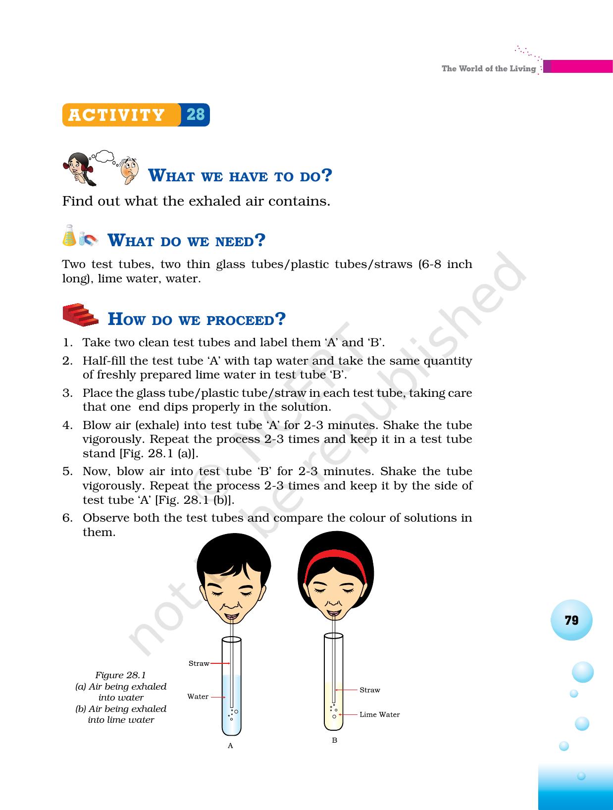 NCERT Laboratory Manuals for Class VI to VIII Science - Theme 3 The world of the living - Page 11