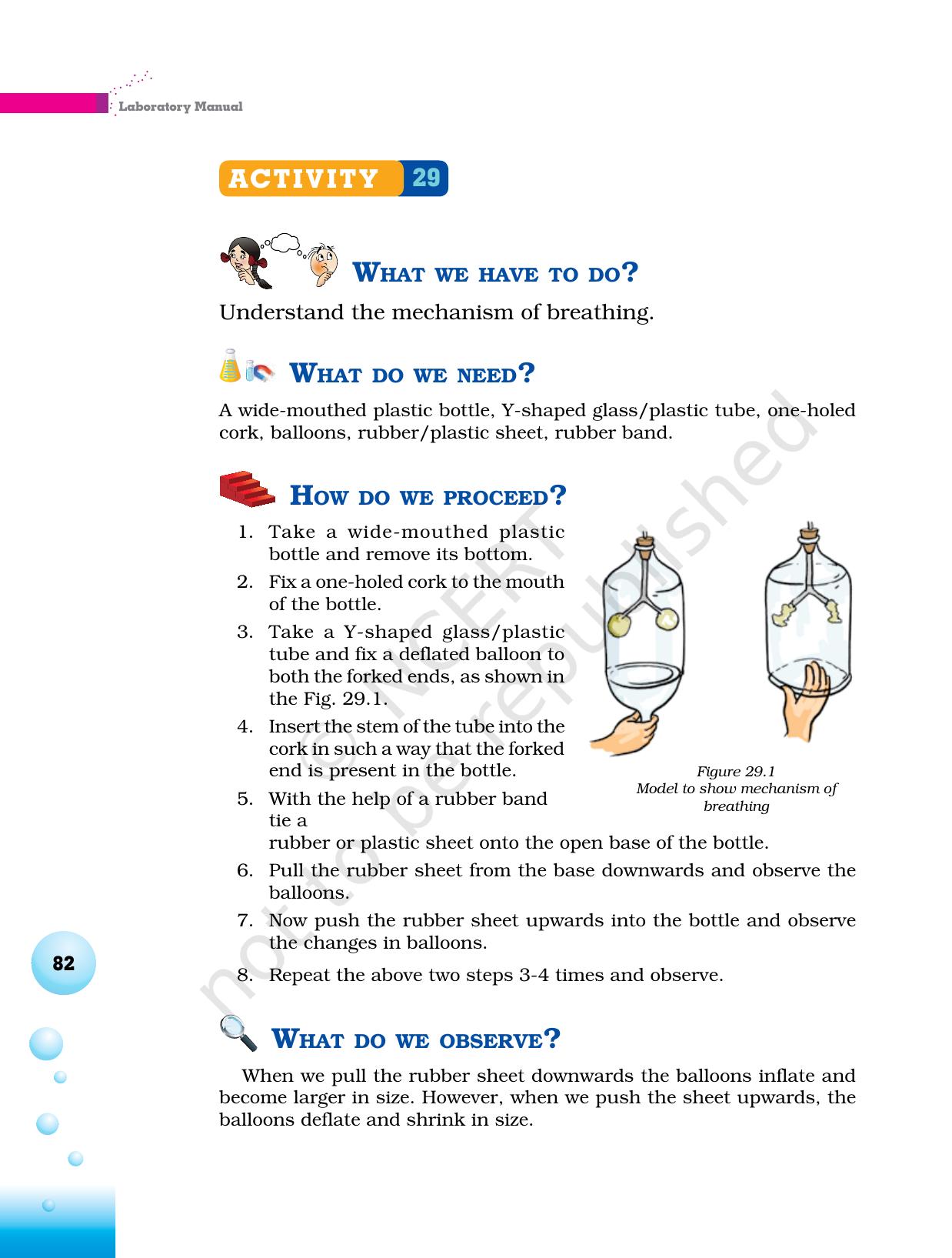 NCERT Laboratory Manuals for Class VI to VIII Science - Theme 3 The world of the living - Page 14