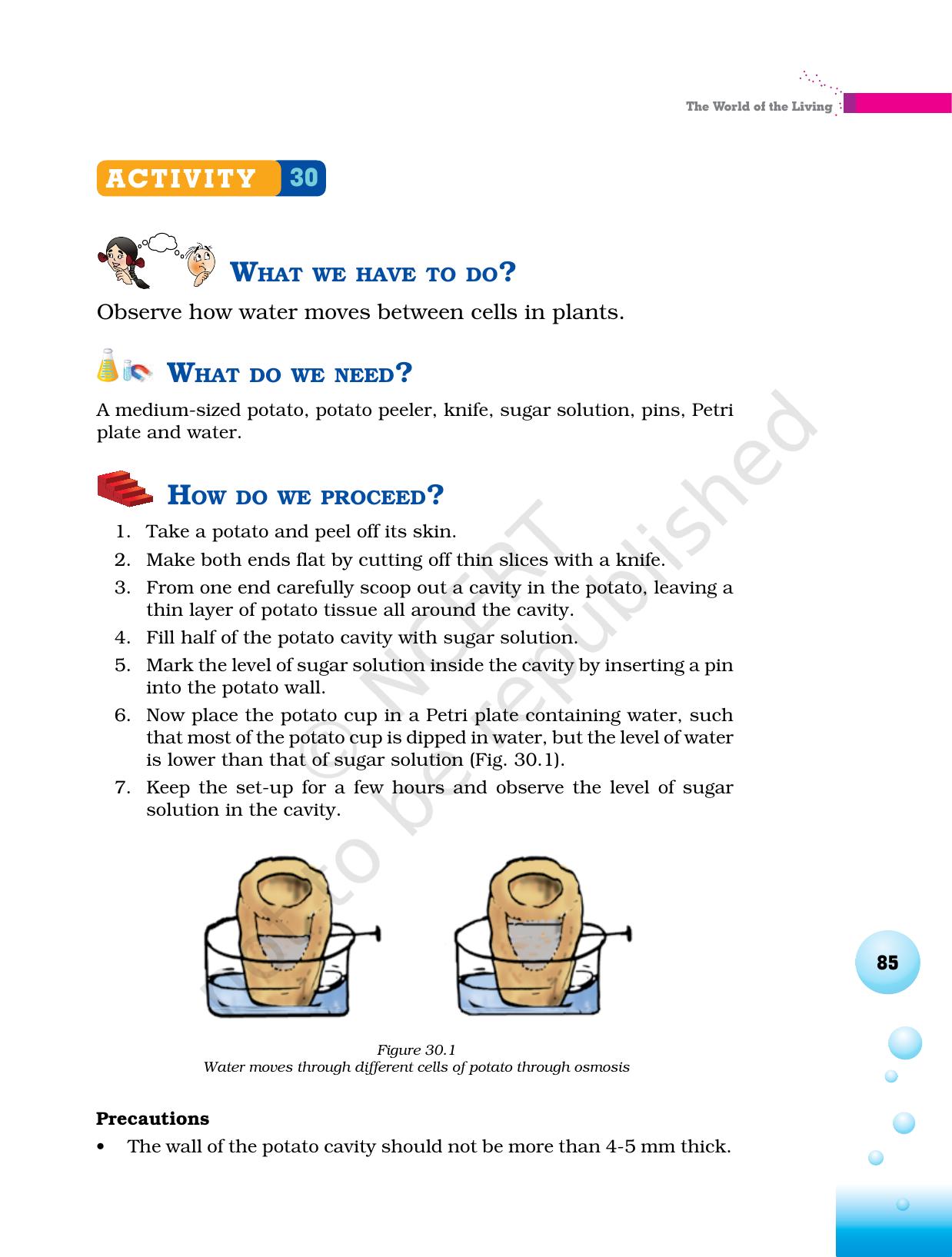 NCERT Laboratory Manuals for Class VI to VIII Science - Theme 3 The world of the living - Page 17