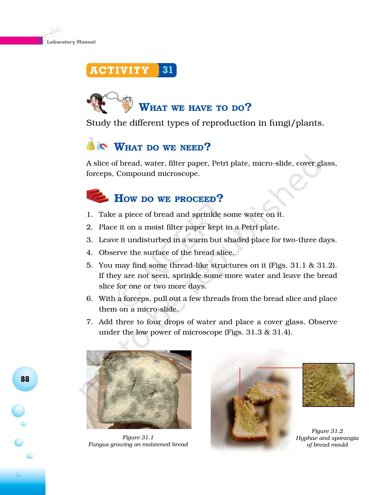 NCERT Laboratory Manuals for Class VI to VIII Science - Theme 3 The world of the living - Page 20