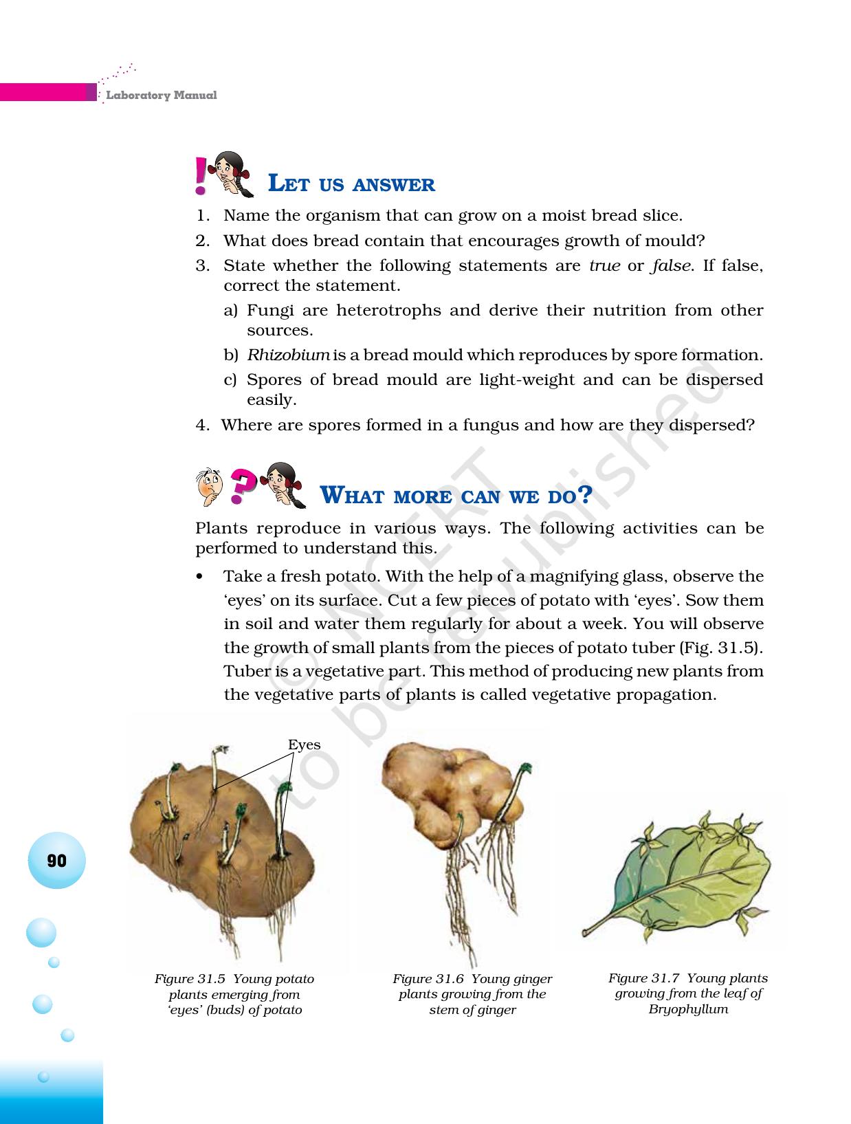 NCERT Laboratory Manuals for Class VI to VIII Science - Theme 3 The world of the living - Page 22