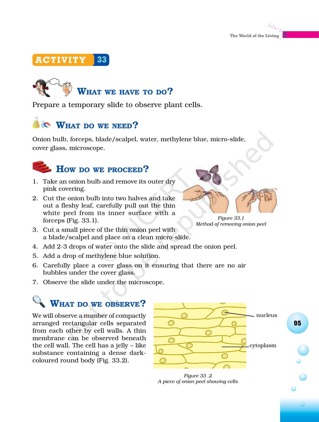 NCERT Laboratory Manuals for Class VI to VIII Science - Theme 3 The world of the living - Page 27