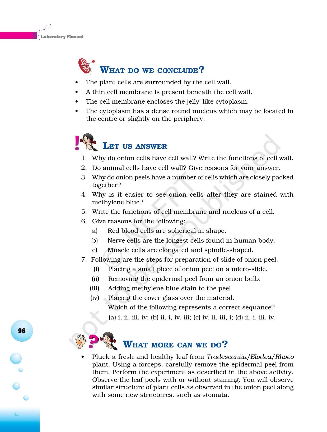 NCERT Laboratory Manuals for Class VI to VIII Science - Theme 3 The world of the living - Page 28