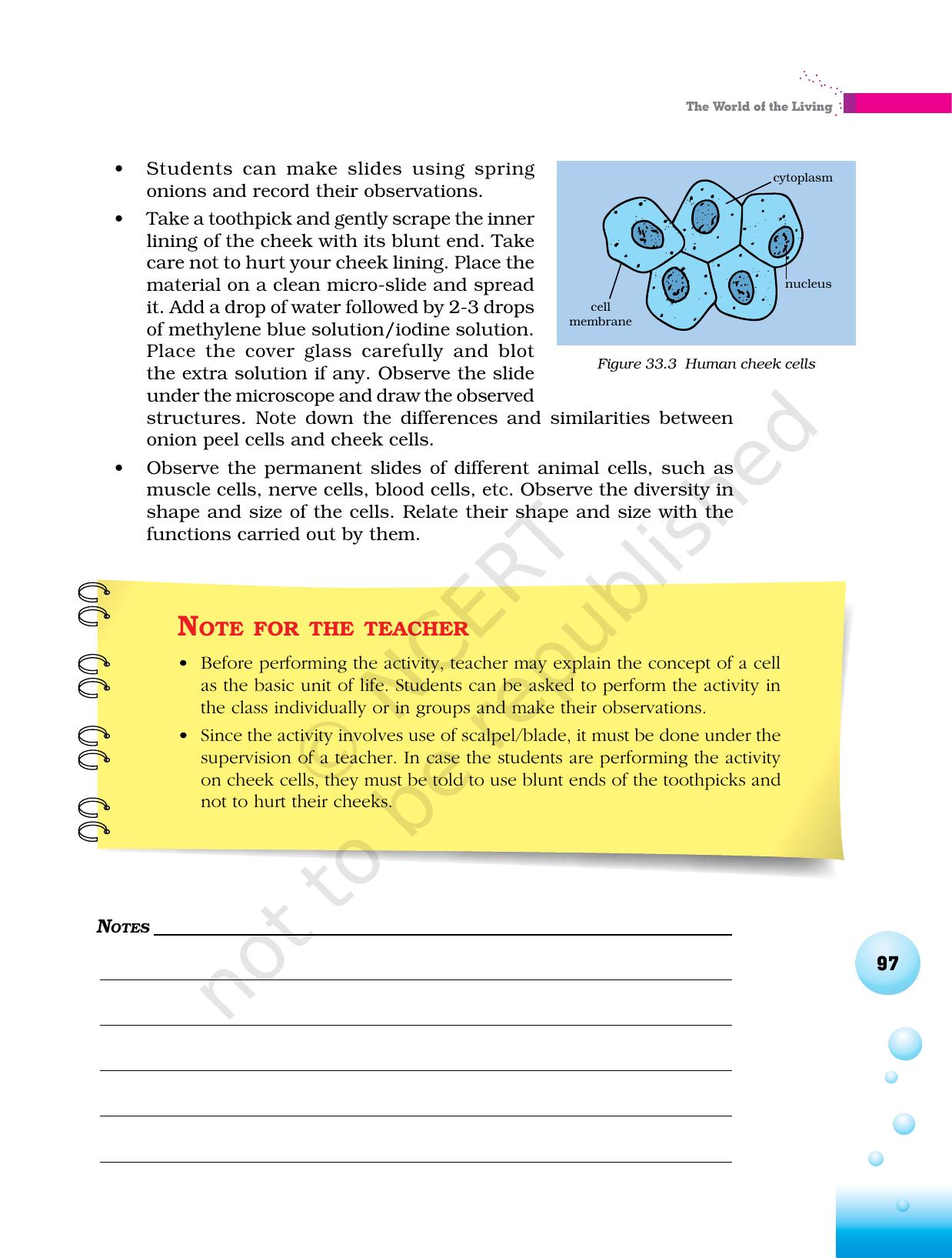 NCERT Laboratory Manuals for Class VI to VIII Science - Theme 3 The world of the living - Page 29