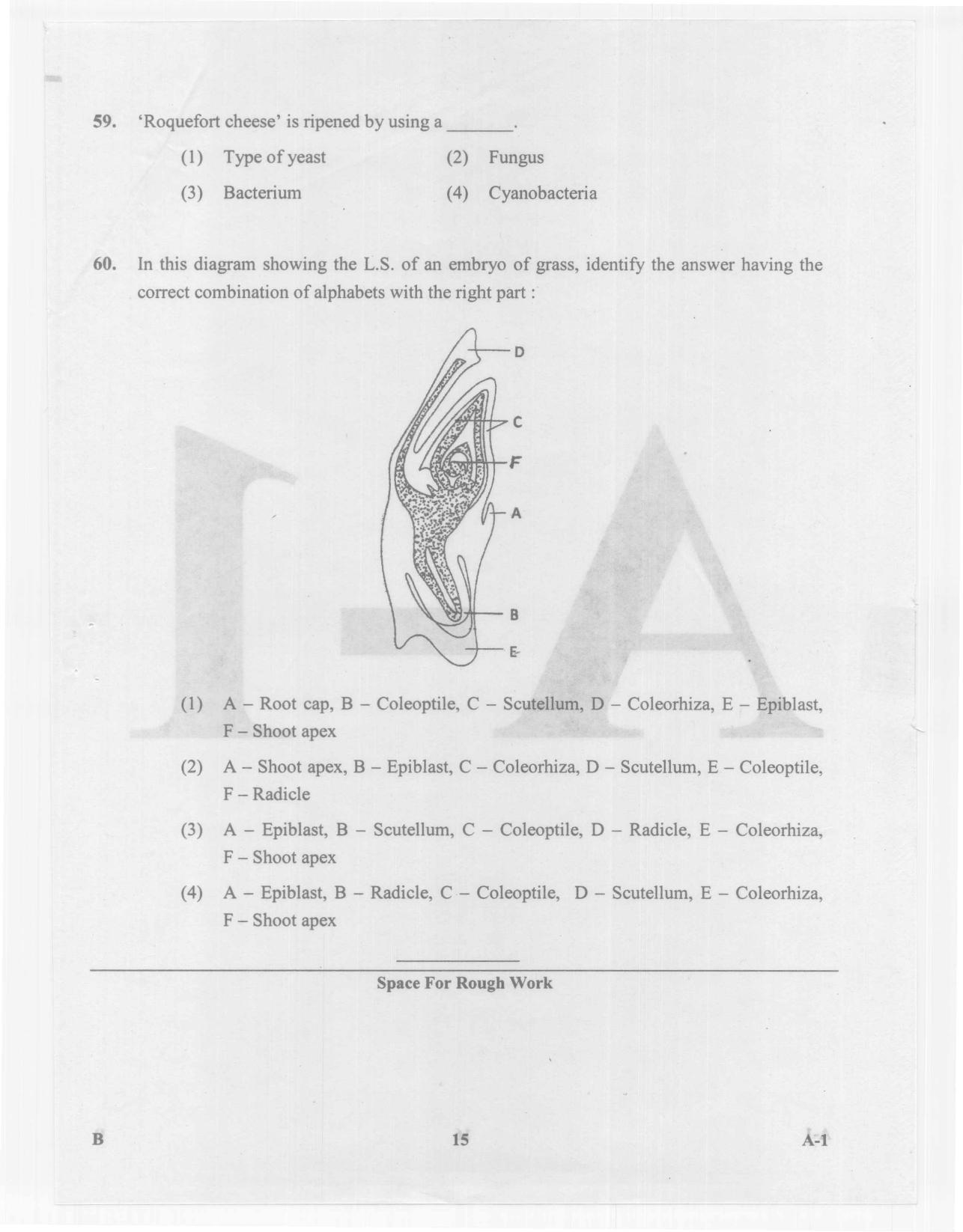 KCET Biology 2014 Question Papers - Page 15