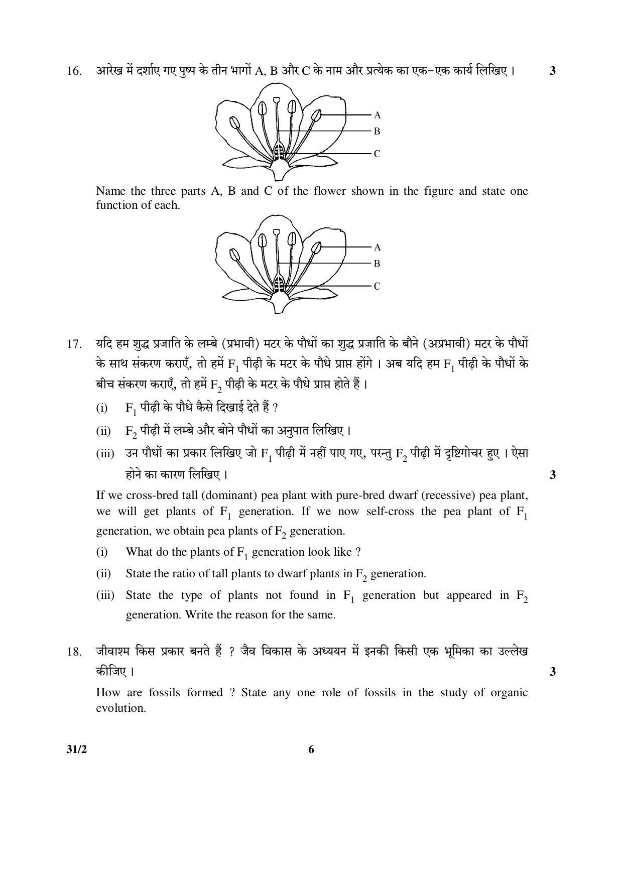 CBSE Class 10 31-2 (Science) 2017-comptt Question Paper - Page 6
