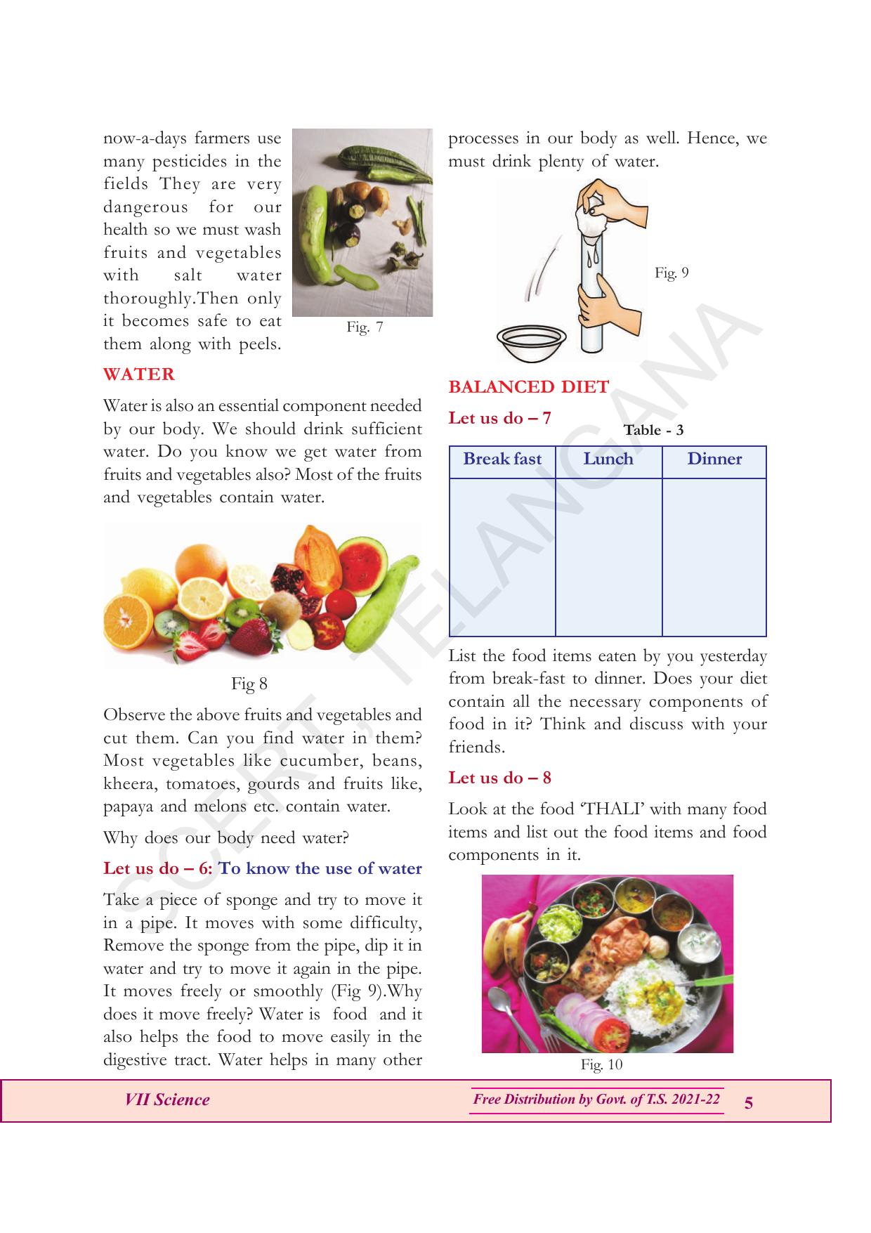 TS SCERT Class 7 General Science (English Medium) Text Book - Page 19