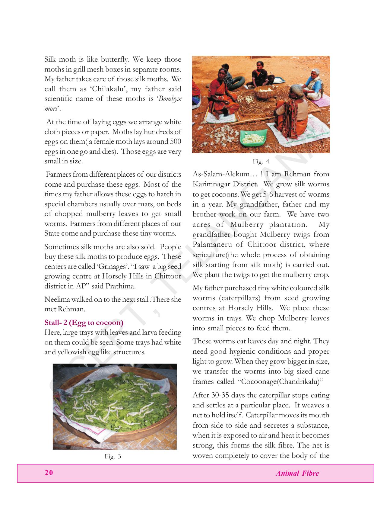 TS SCERT Class 7 General Science (English Medium) Text Book - Page 34