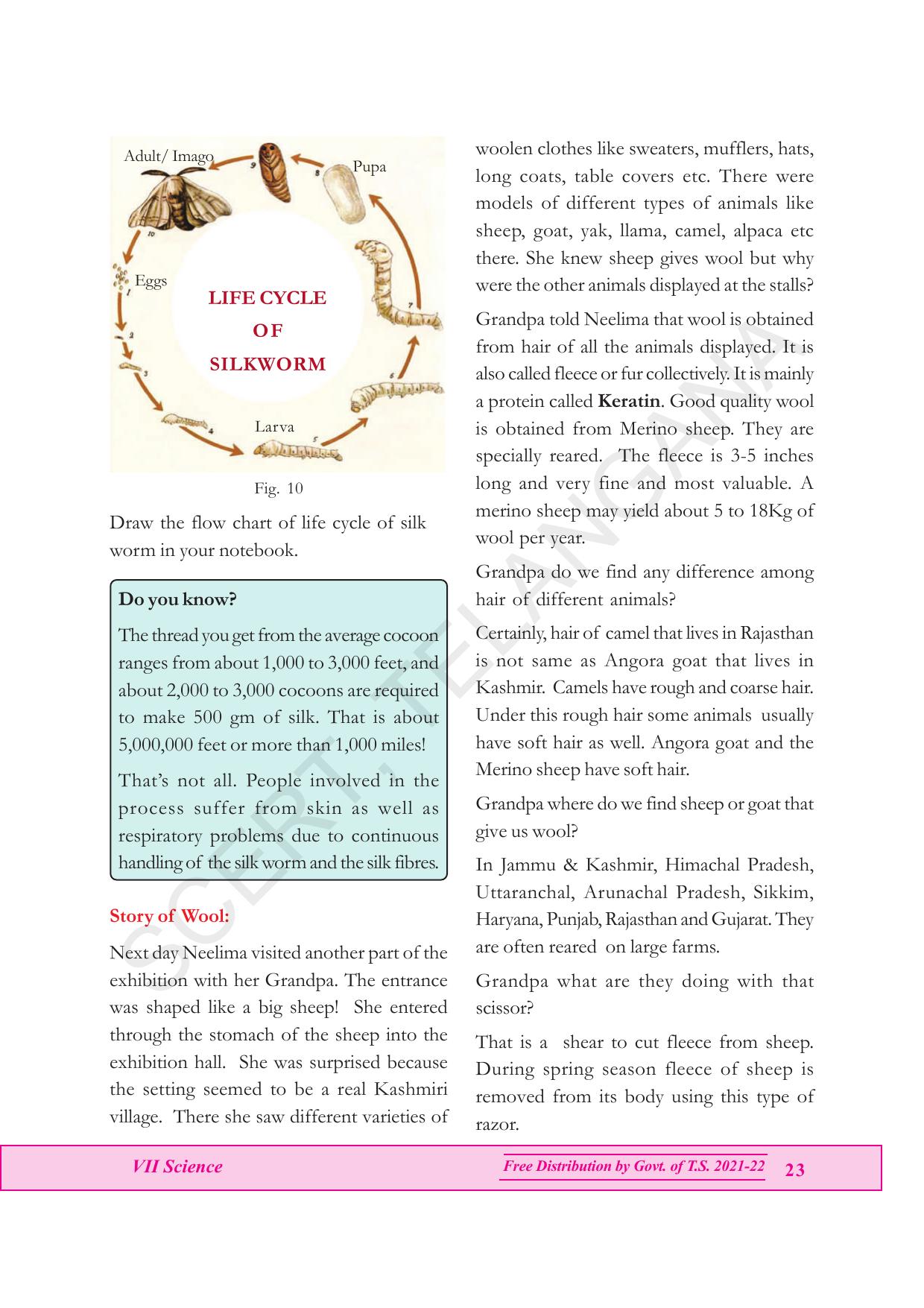 TS SCERT Class 7 General Science (English Medium) Text Book - Page 37
