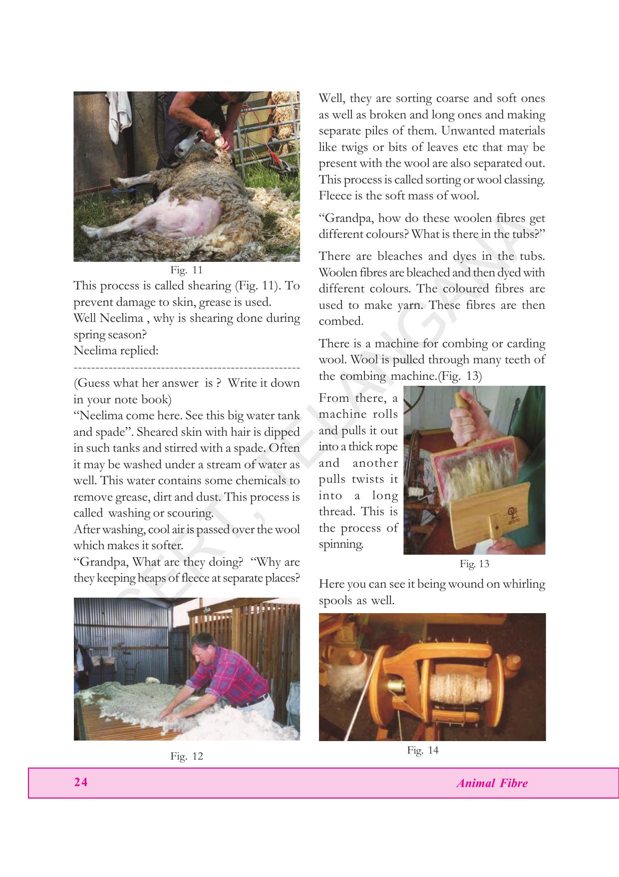 TS SCERT Class 7 General Science (English Medium) Text Book - Page 38