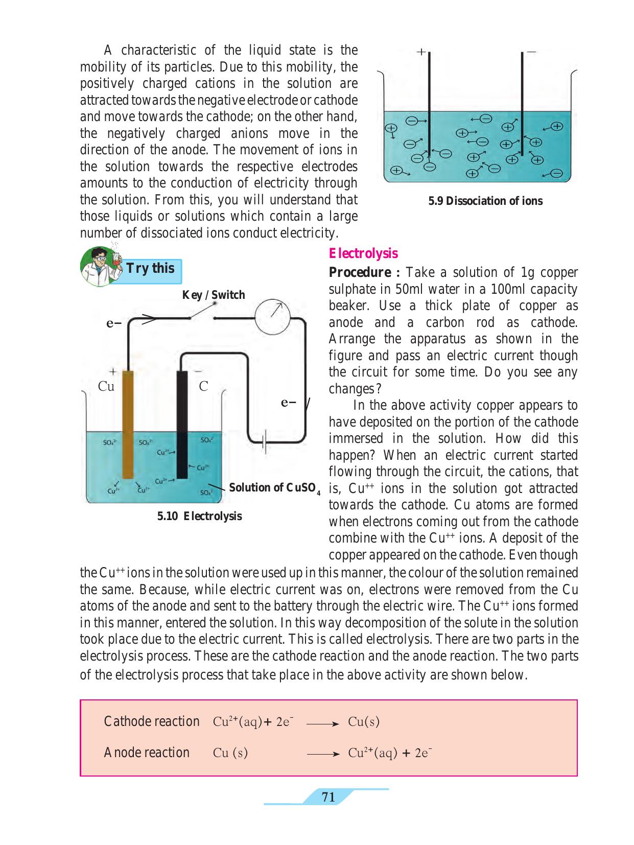Maharashtra Board Class 9 Science Textbook - Page 81