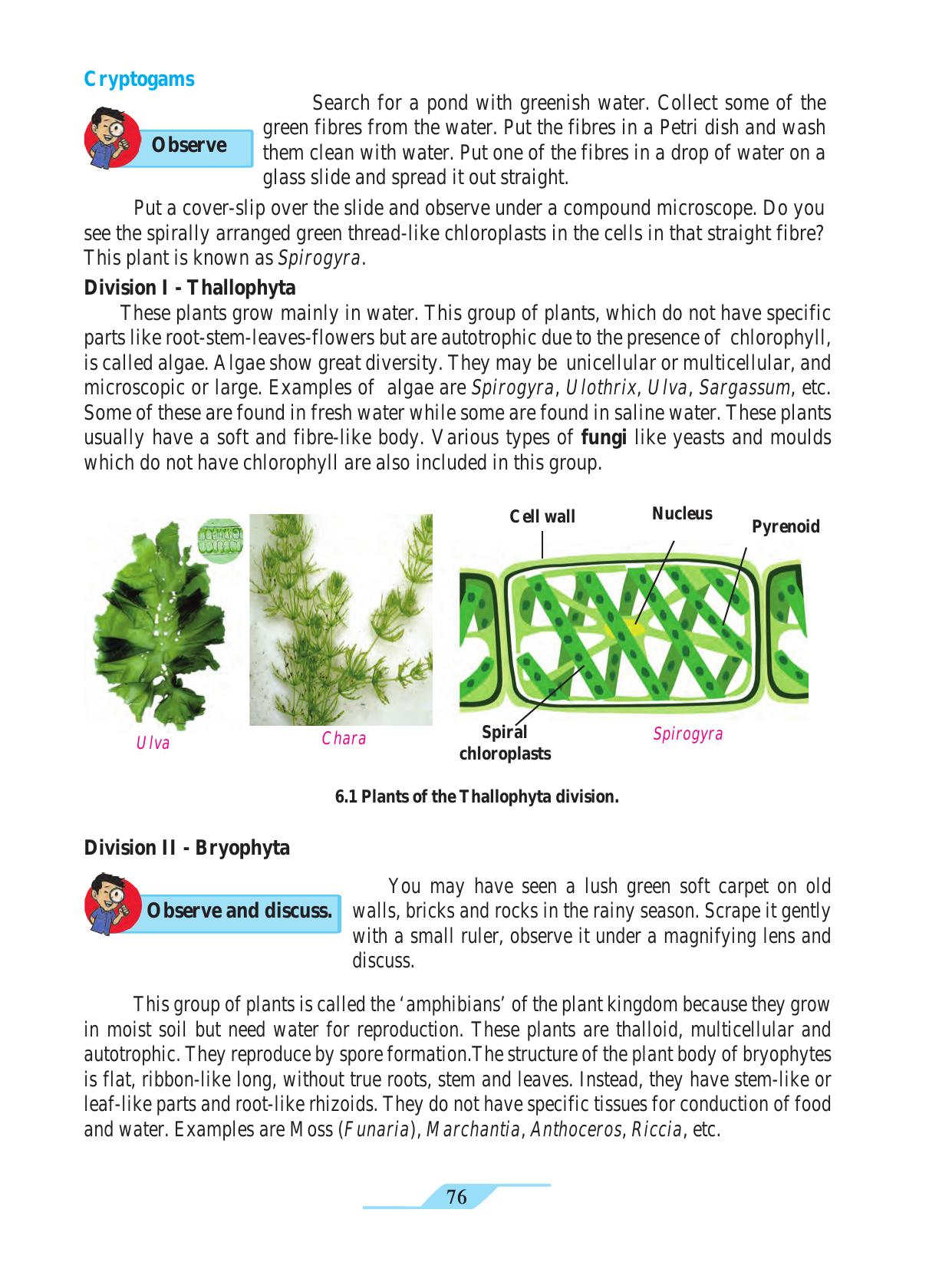Maharashtra Board Class 9 Science Textbook - Page 86