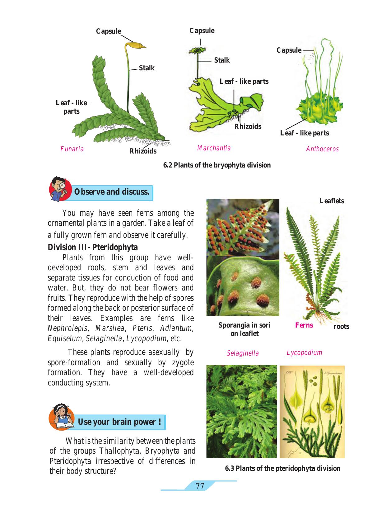 Maharashtra Board Class 9 Science Textbook - Page 87