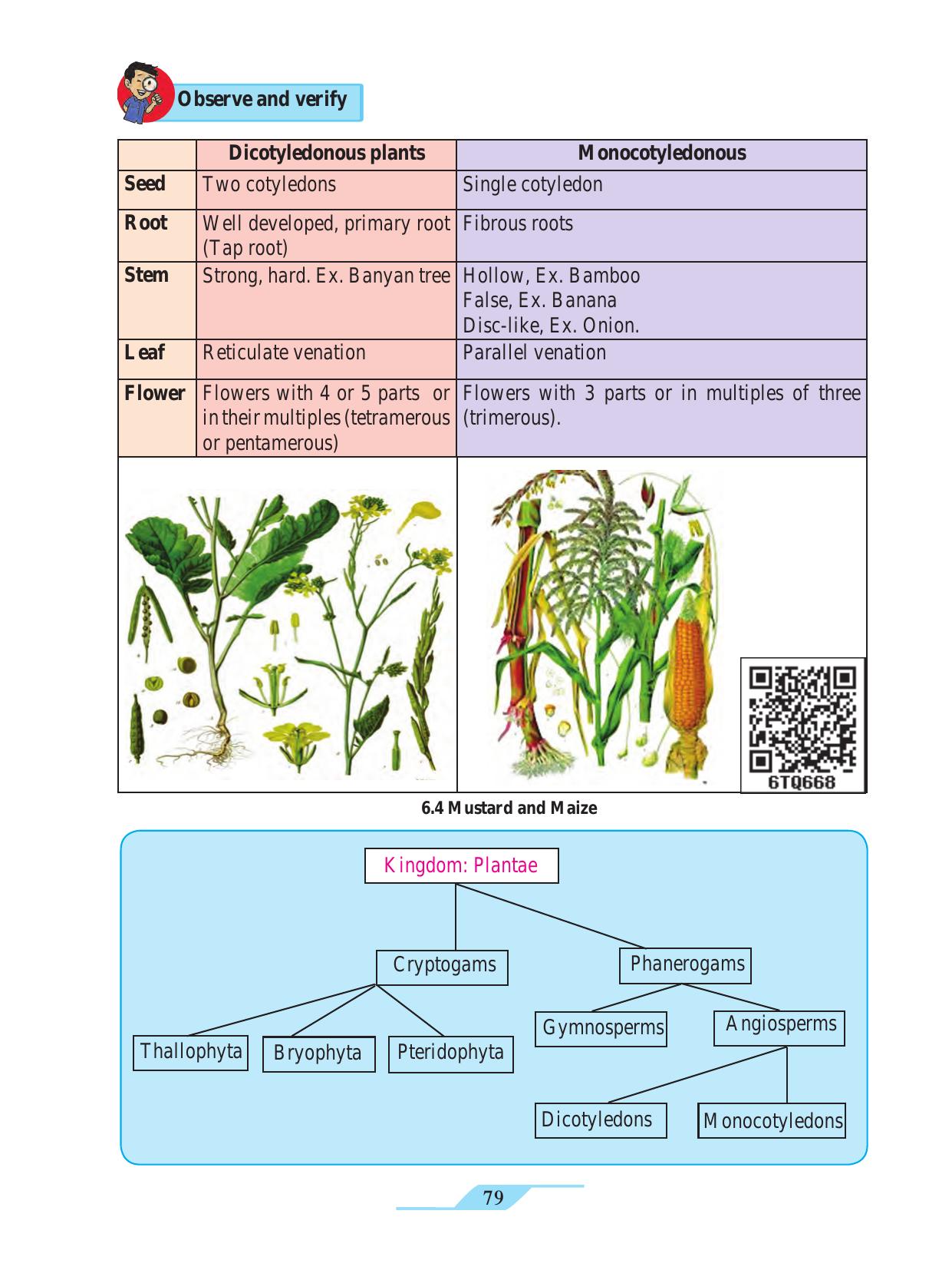 Maharashtra Board Class 9 Science Textbook - Page 89