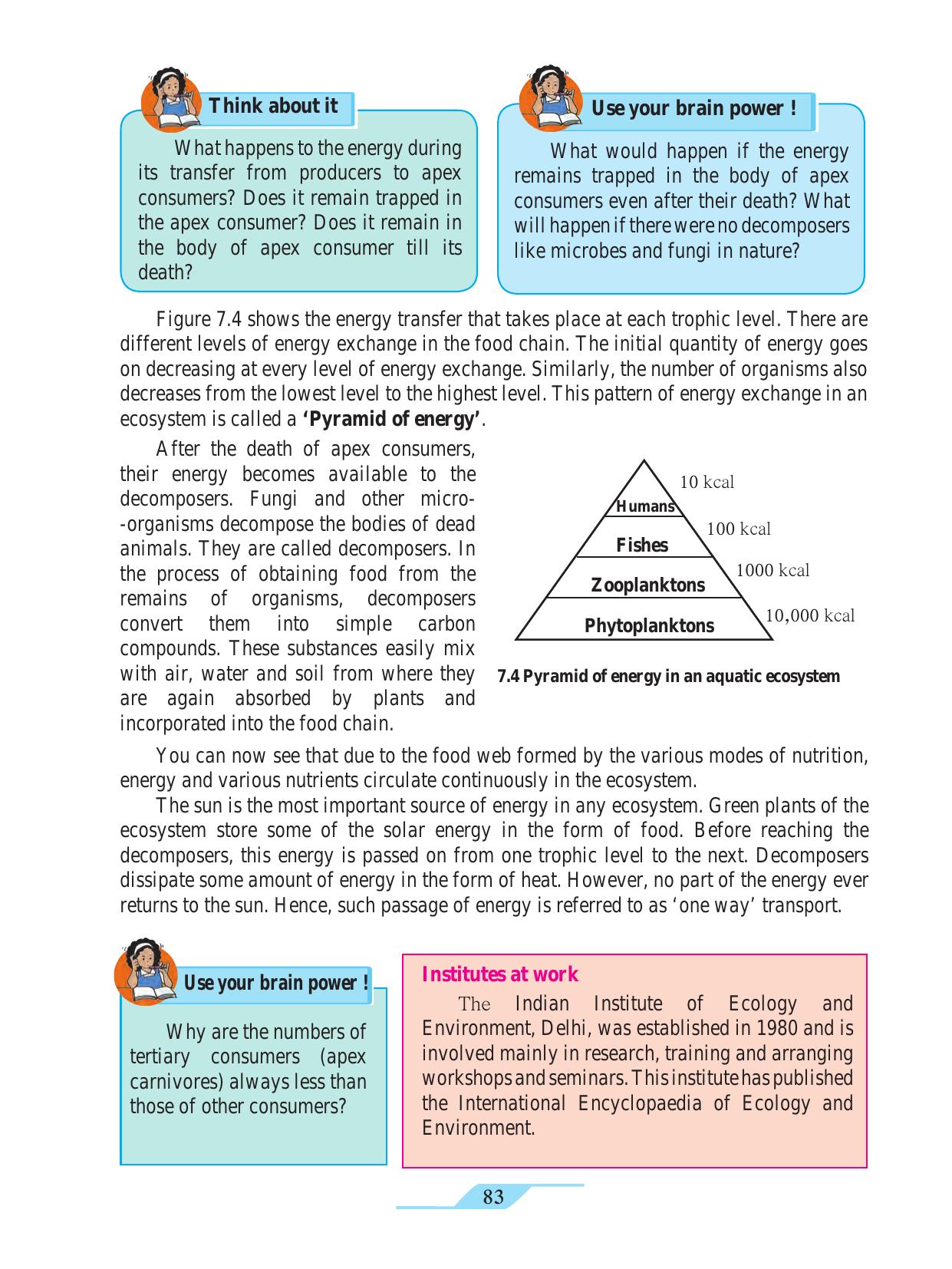 Maharashtra Board Class 9 Science Textbook - Page 93