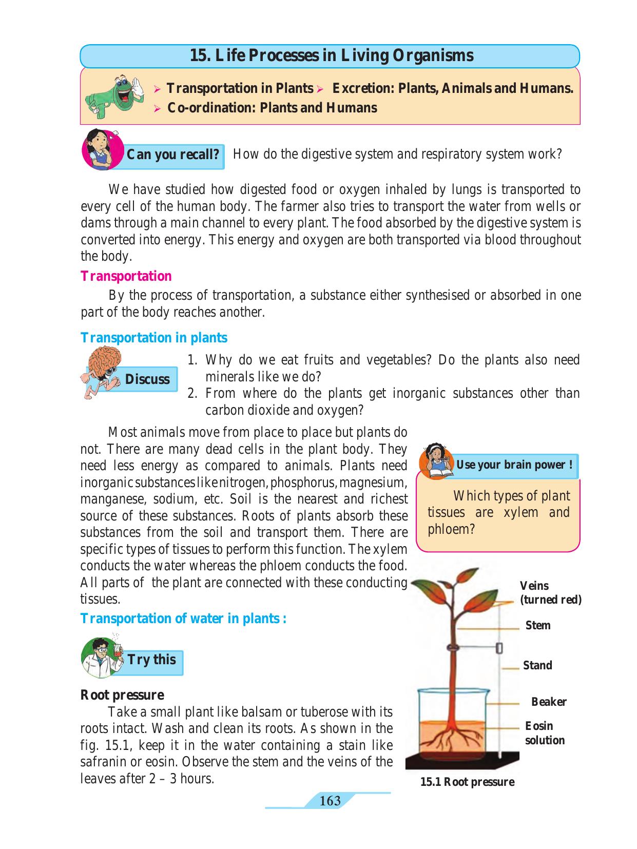 Maharashtra Board Class 9 Science Textbook - Page 173