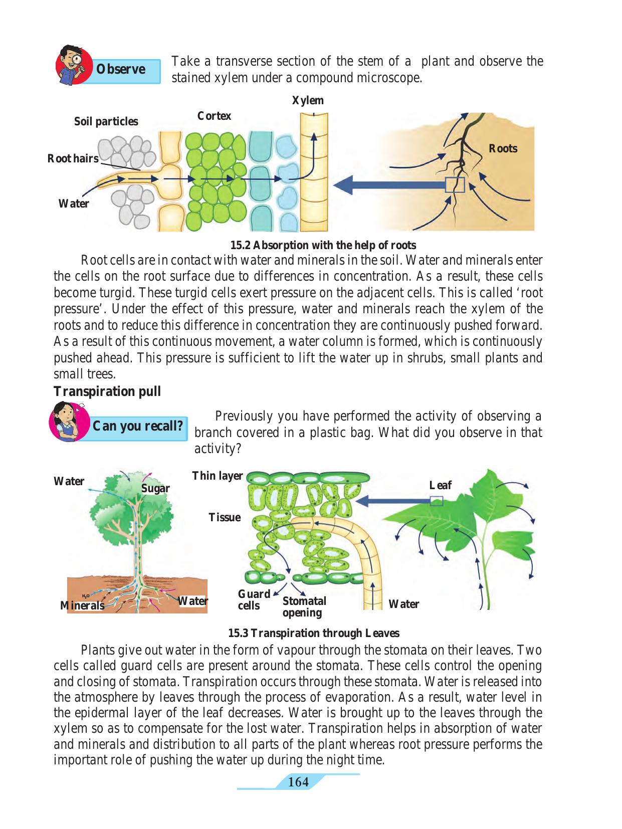 Maharashtra Board Class 9 Science Textbook - Page 174