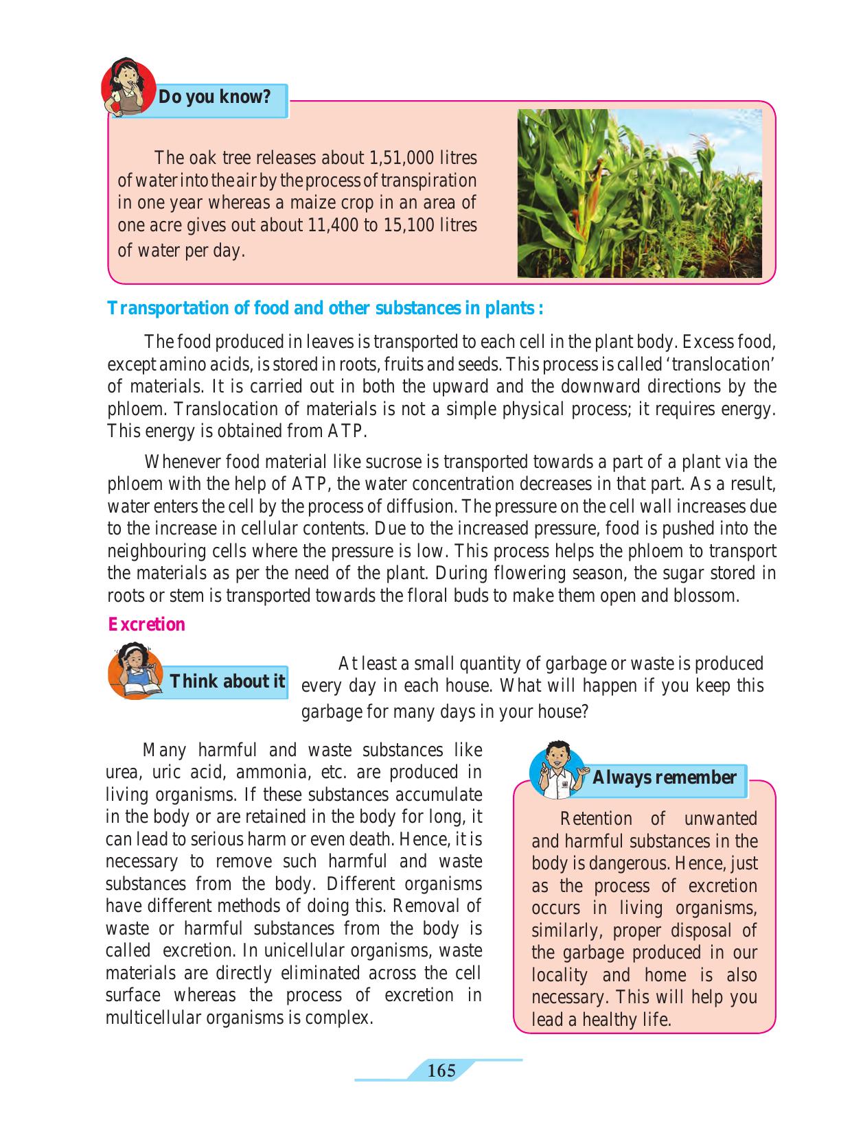 Maharashtra Board Class 9 Science Textbook - Page 175