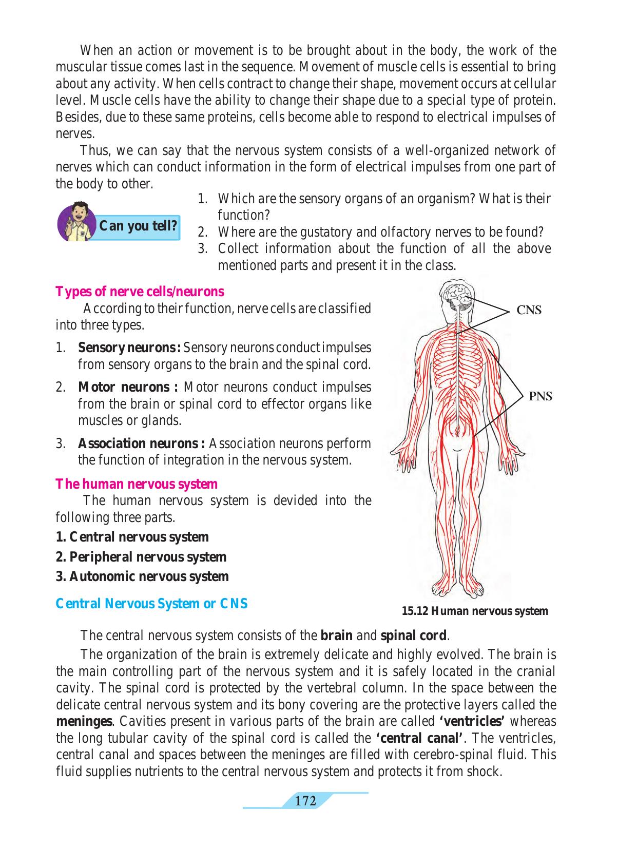 Maharashtra Board Class 9 Science Textbook - Page 182