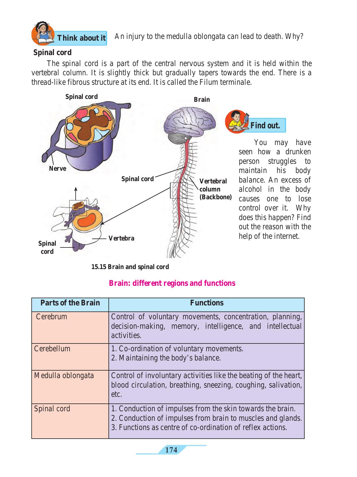 Maharashtra Board Class 9 Science Textbook - Page 184