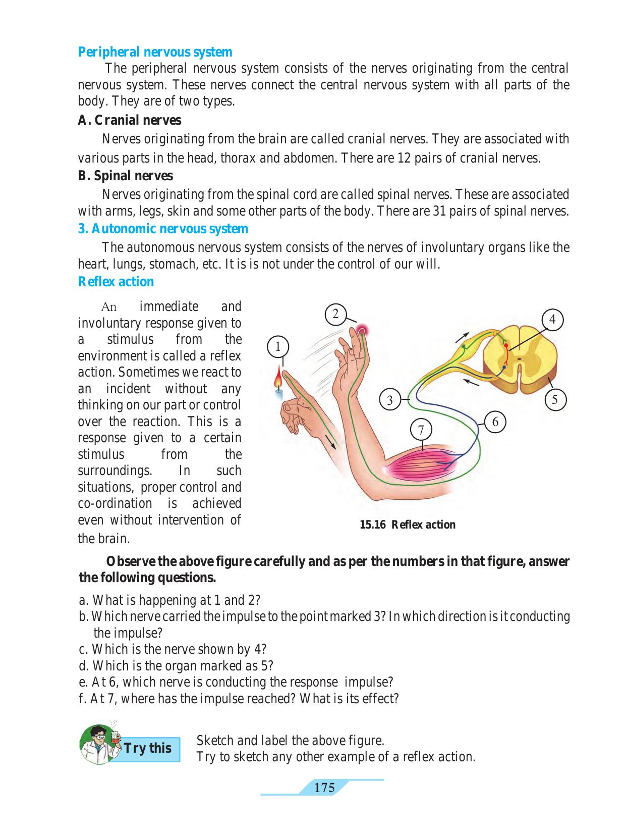 Maharashtra Board Class 9 Science Textbook - Page 185
