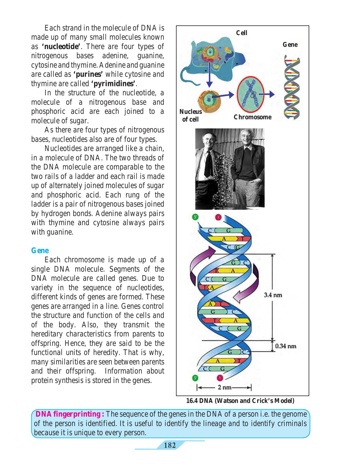 Maharashtra Board Class 9 Science Textbook - Page 192