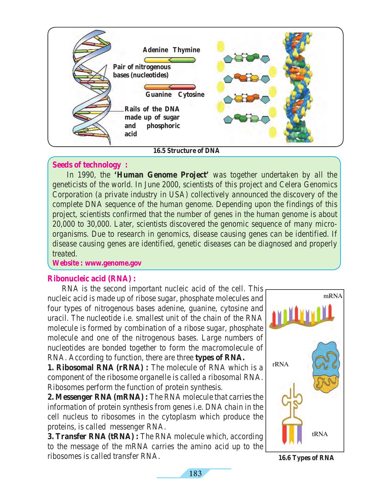 Maharashtra Board Class 9 Science Textbook - Page 193