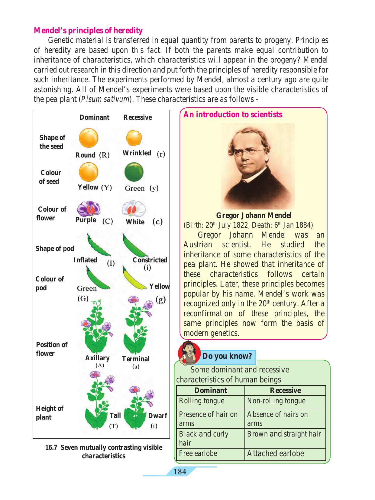 Maharashtra Board Class 9 Science Textbook - Page 194