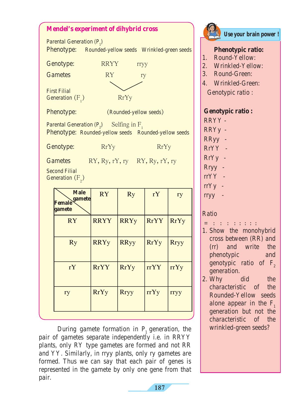 Maharashtra Board Class 9 Science Textbook - Page 197