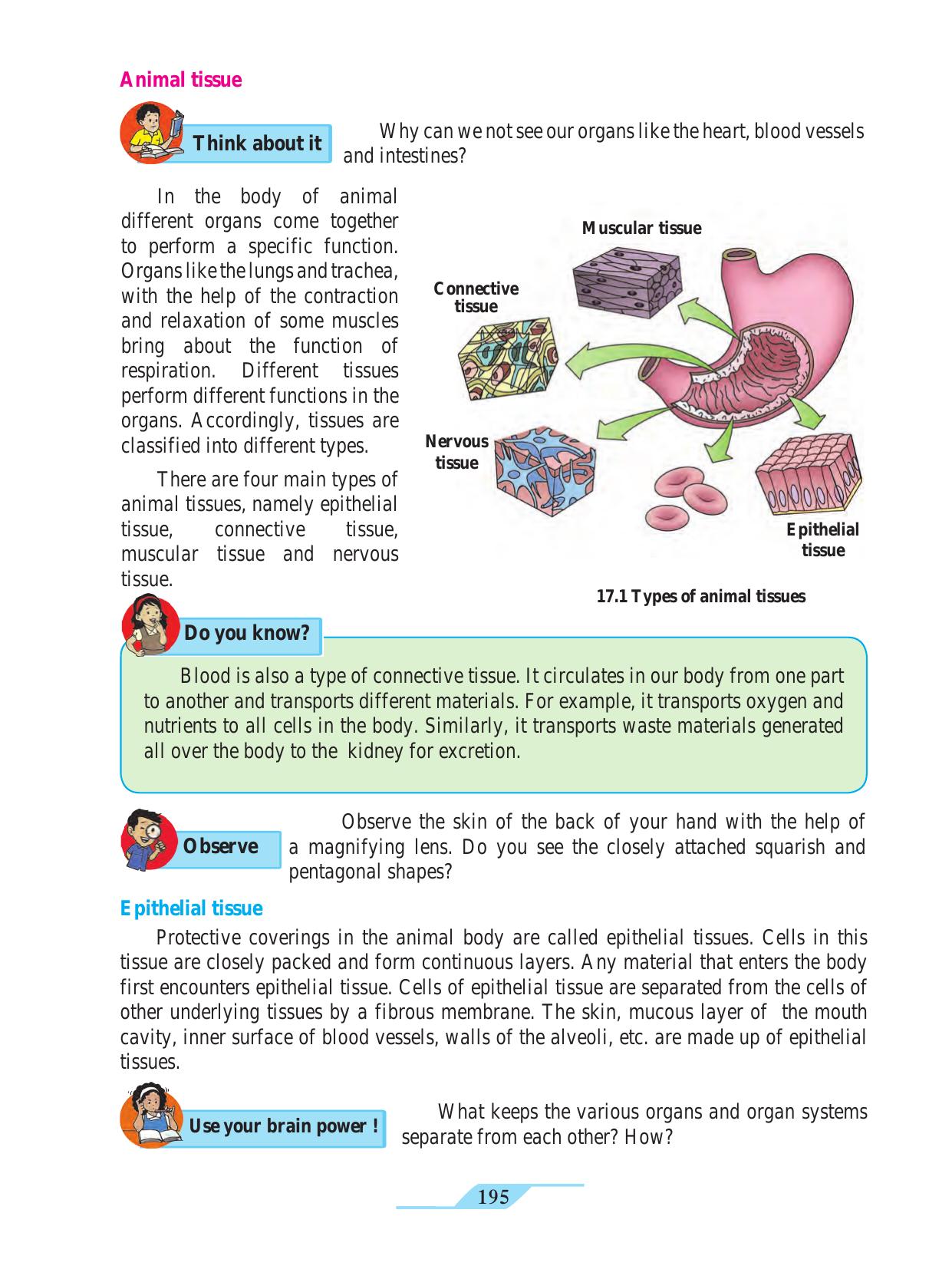 Maharashtra Board Class 9 Science Textbook - Page 205