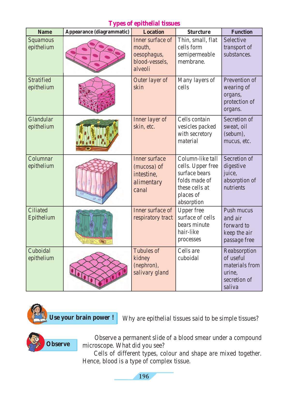 Maharashtra Board Class 9 Science Textbook - Page 206