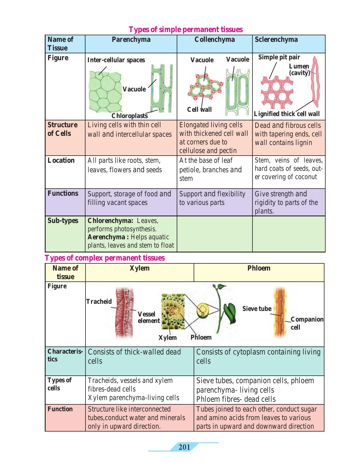 Maharashtra Board Class 9 Science Textbook - Page 211