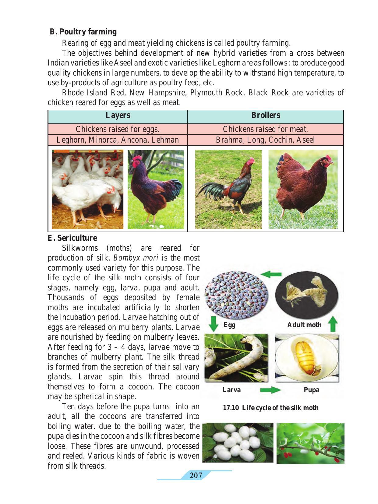 Maharashtra Board Class 9 Science Textbook - Page 217