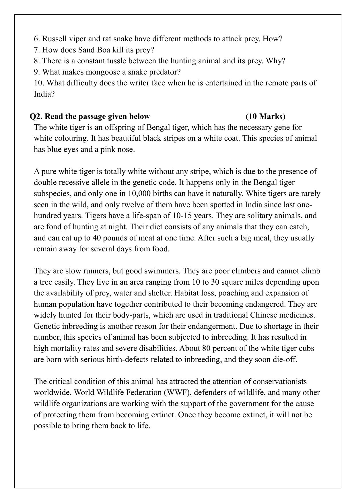 Edudel Class 10 English Sample Question Paper - Page 3