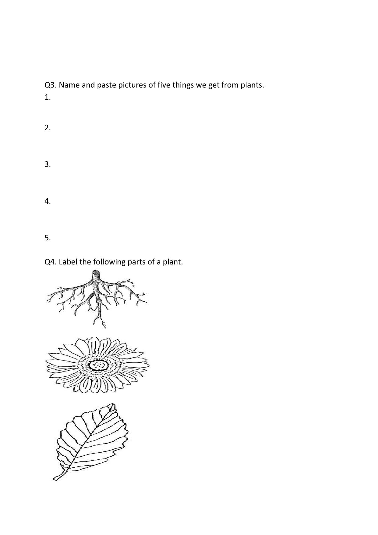 Worksheet for Class 1 EVS Assignment 4 - Page 2