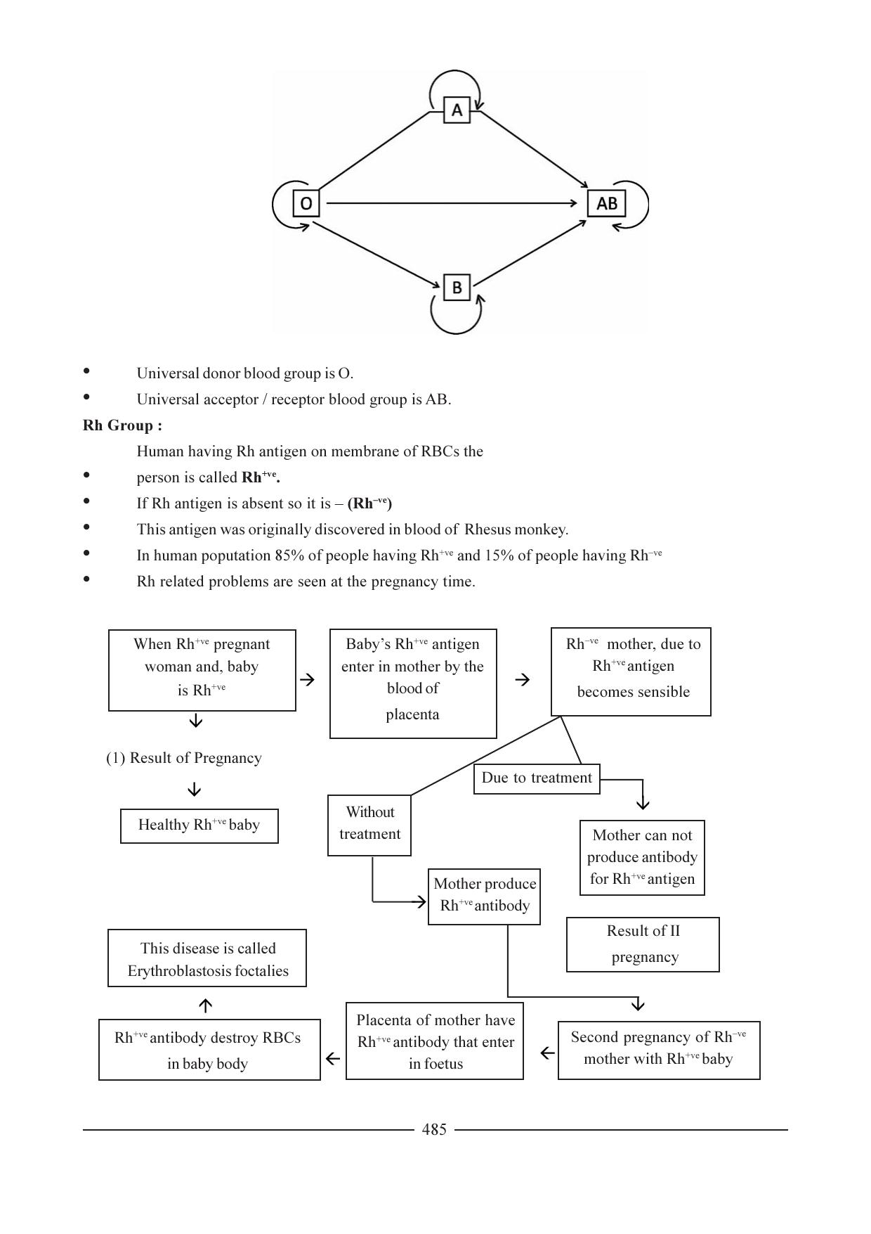 GSEB HSC Biology Question Paper (English Medium)- Chapter 24 - Page 4