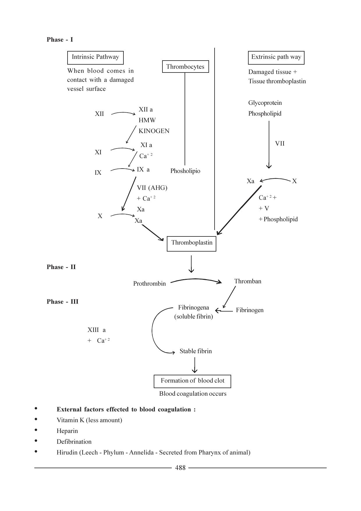GSEB HSC Biology Question Paper (English Medium)- Chapter 24 - Page 7