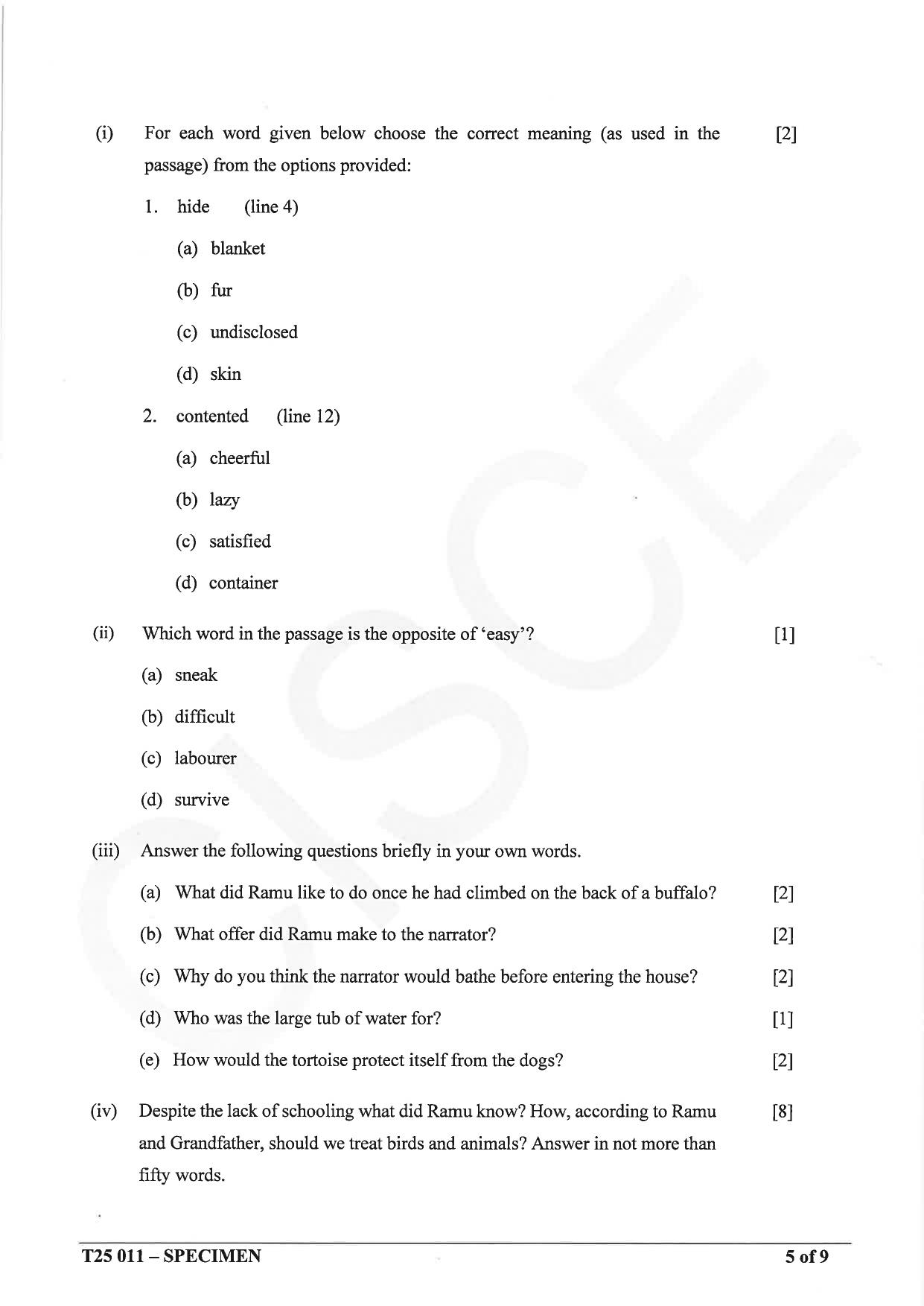 ICSE Class 10 2025 English Language (English Paper 1) (QP & MS) Specimen Paper - Page 5