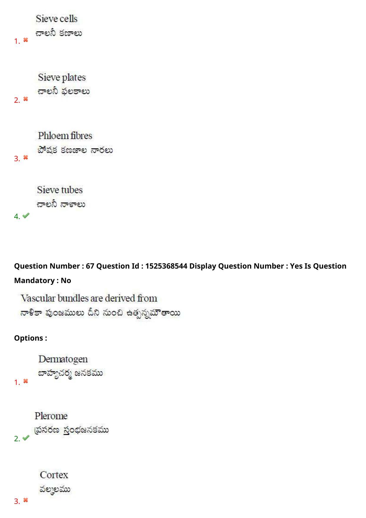 AP EDCET 2021 BIOLOGICAL SCIENCE Question Paper - Page 43