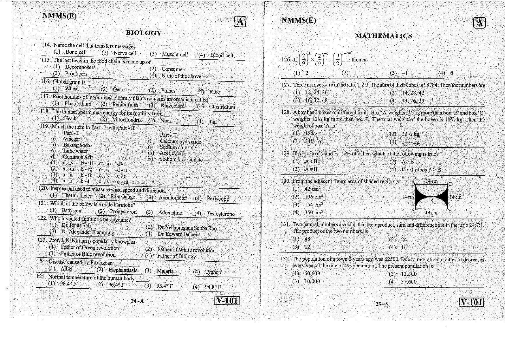MAT - SAT English Nov 2018 (Set A) Class 8 Andhra Pradesh NMMS Question Papers - Page 13